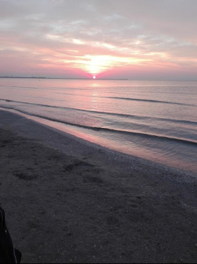 Năvodari Beach Apartment By Mamaia Nord מראה חיצוני תמונה